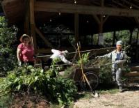 Sierra Club Volunteers clear brush near a Pinewoods dance pavilion